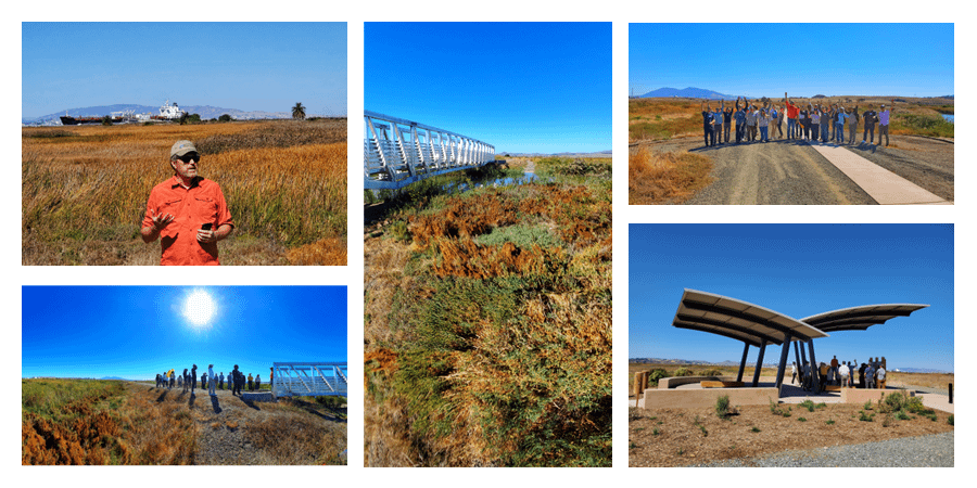 Paul Detjens, Contra Costa County Senior Engineer (Retired), leads the Pacheco Marsh field trip.